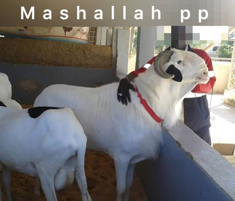 WhatsApp Image 2023-10-07 at 2.51