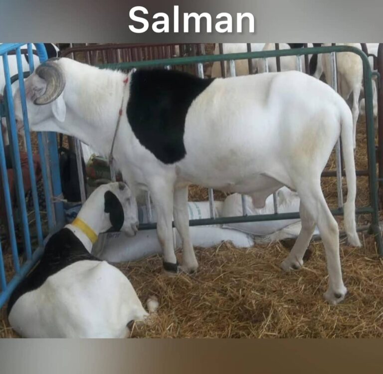 WhatsApp Image 2023-10-07 at 2.52